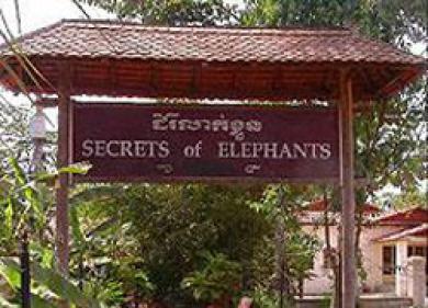 Hotel Secrets Of Elephants Ciudad de Siem Riep Exterior foto